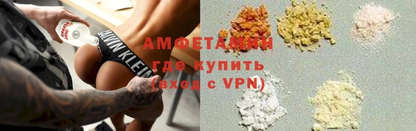 прущие грибы Балахна